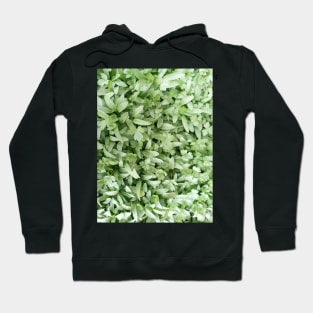 Nature Hoodie